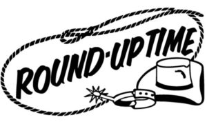 Round up time lasso on marketing tips blog